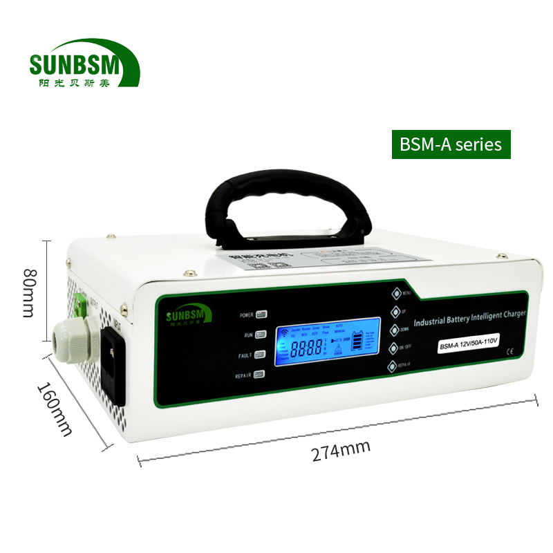 BSM-A 24V/30A-220V