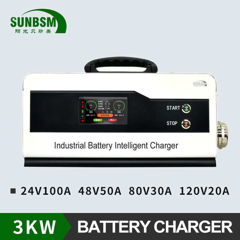 BSM-M 24V100A
