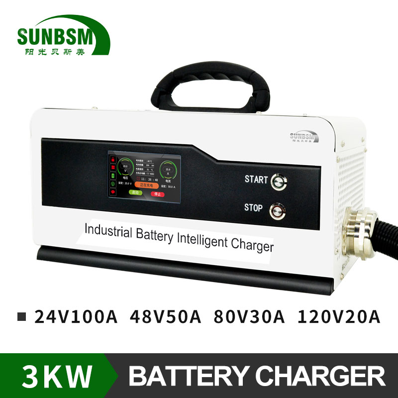  BSM-M 80V30A